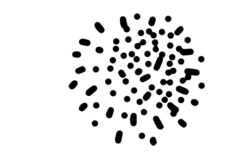 secondary-image